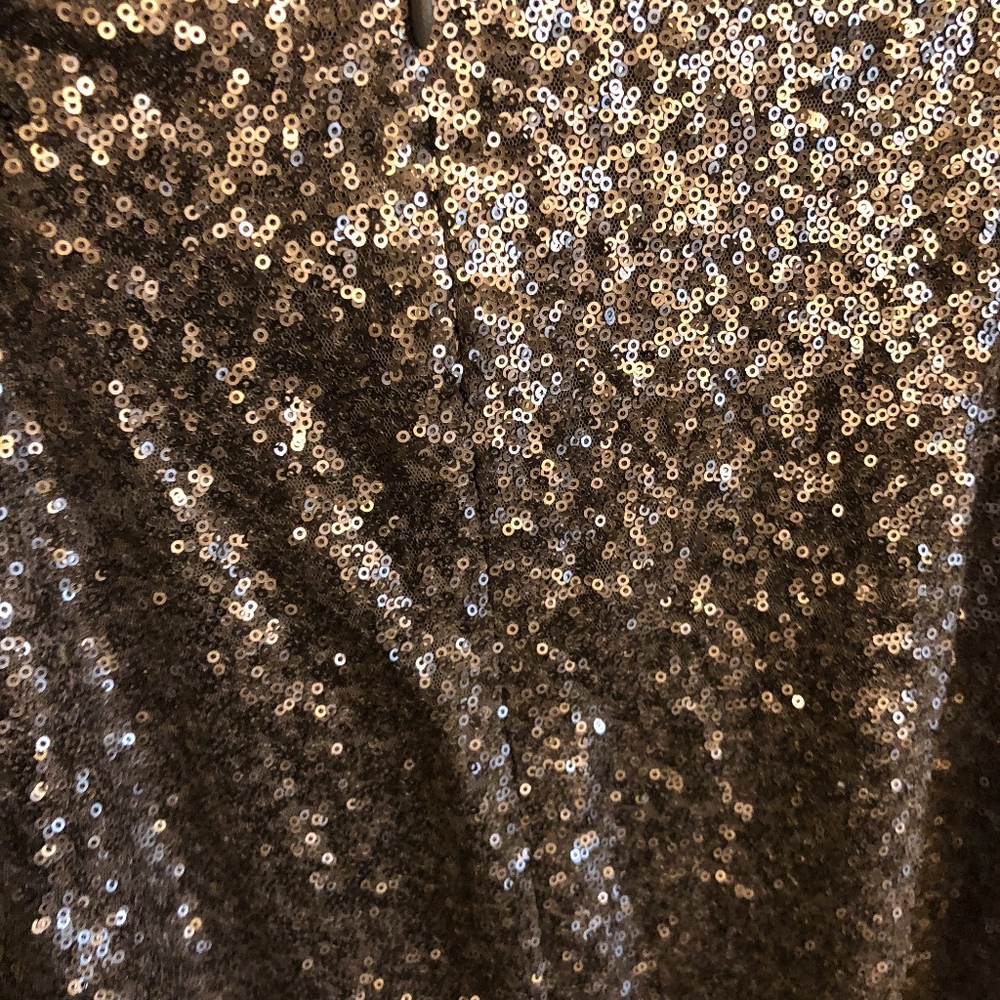 Silver Sequined Skirt - Picture 4 of 5